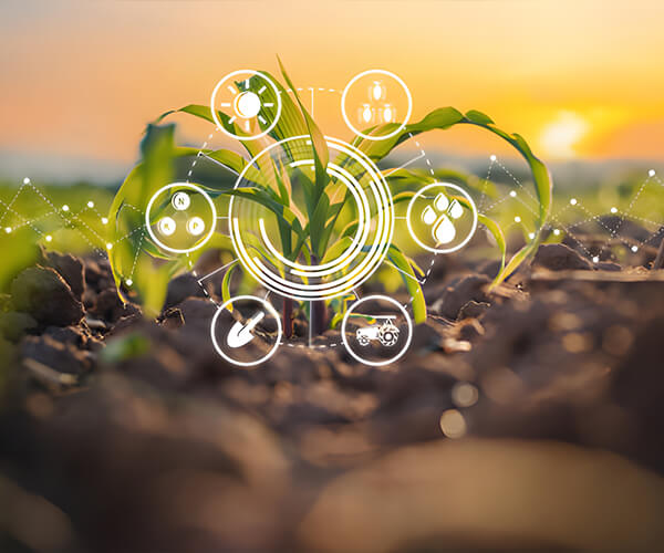 Shandong Kunda Biotechnology Company Ltd